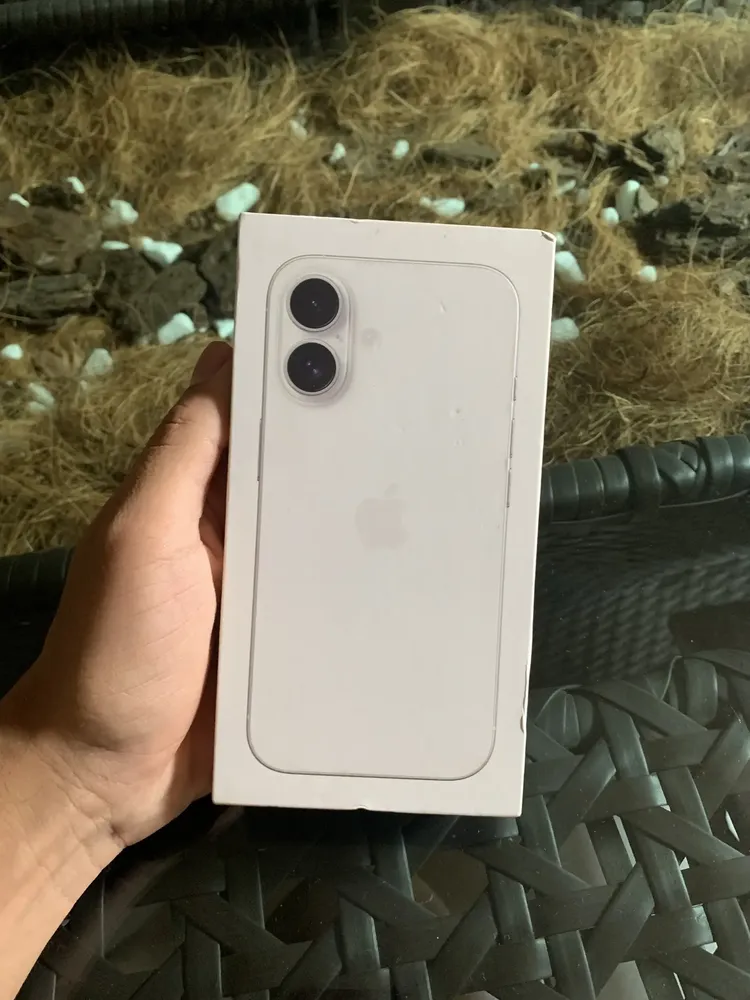 Foto da avaliação de Larissa Dias